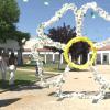 Jara en Flor en Alagón del Río