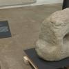 El Museo de Cáceres incorpora a su colección un verraco betón perromano recuperado del embalse de Valdecañas