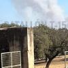 Incendio forestal en La Roca de la Sierra
