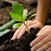 Agroecología