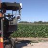 VÍDEO: Las organizaciones agrarias avisan de las consecuencias que tendrá la propuesta de PAC para el campo extremeño