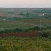 Regantex valora que el nuevo convenio de modernización de regadíos es "paso decidido" a una agricultura "más eficiente"