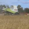 La Junta se adhiere a la reivindicaciones que el sector arrocero extremeño ha trasladado al ministro de Agricult