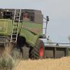Recogida del cereal en Extremadura