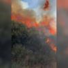 El incendio de Jarilla entra en Salamanca y se encuentra en la zona alta de Candelario
