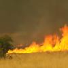 Incendio de pastos - Imagen de archivo