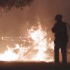 Efectivos luchando contra las llamas en los incendios forestales de Jarilla