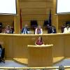 La secretaria general de Igualdad y Conciliación de la Junta de Extremadura, Ara Sánchez Vera, en el Senado