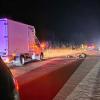 Caballo que provocó el accidente en la carretera de Olivenza
