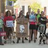 Manifestación en Azuaga por la muerte de 32 perros