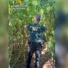 Intervención de la Guardia Civil contra la marihuana