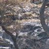 Paraje incendiado