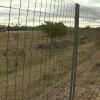 Terrenos en los que se ubicarían las viviendas