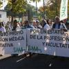 Médicos durante la manifestación convocada por el Sindicato Médico de Sevilla, con motivo de la huelga médica nacional