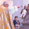 Bendición de animales el día de San Antón, en Ribera del Fresno