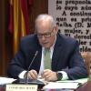 El consejero delegado de Iberdrola, Mario Ruiz-Tagle, comparece ante la Comisión de Investigación sobre el apagón, en el Senado