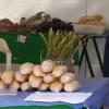 Stand con espárragos en la feria, en Burguillos del Cerro