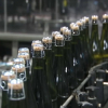 Embotelladora de cava extremeño.