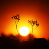 Olas de calor en Extremadura