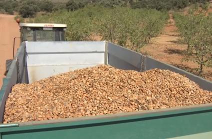 Almendras de Extremadura