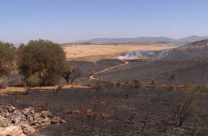 Badajoz, la provincia con más incendios