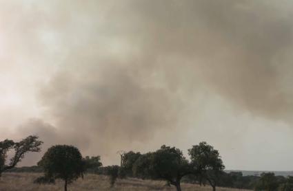 Incendio en La Aldea del Obispo