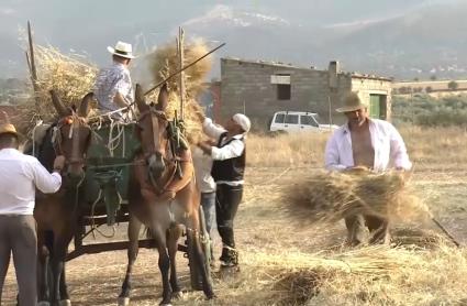 La Trilla en Valdelacasa de Tajo