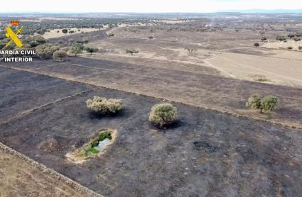 Incendio en Aldea del Obispo