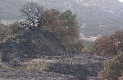 Imagen tras el incendio de Puebla del Maestre