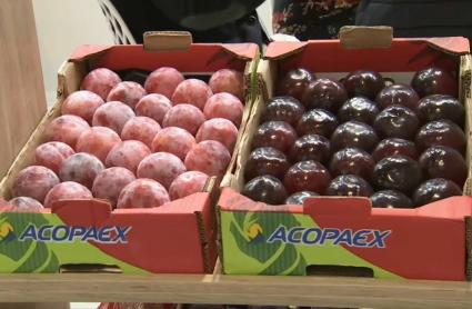 Fruta expuesta por 'ACOPAEX' en la Feria Fruit Attraction 2024