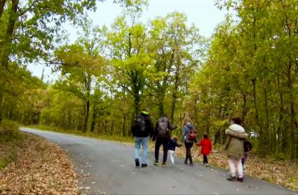 Día del Ambroz dentro del Otoño Mágico, que este año  se estrena como Fiesta de Interés Turístico Internacional