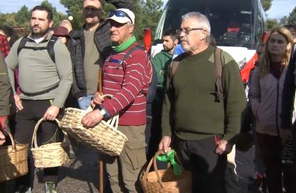 Valencia de Alcántara celebra el Día de la Seta de Extremadura