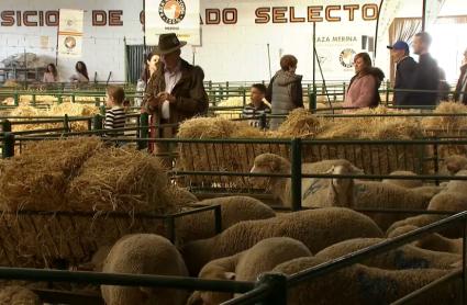 Feria Agroganadera de Trujillo