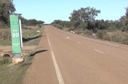 Cuatro fallecidos en carreteras de Extremadura durante las Navidades