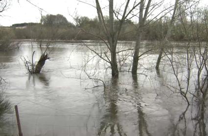 Desactivada la fase de emergencia del Plan Especial de Protección Civil de Riesgo de Inundaciones en Extremadura