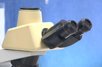 El Ministerio de Ciencia financiará con más de 810.000 euros seis proyectos extremeños de colaboración internacional