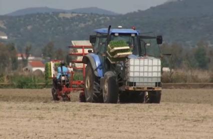 Campaña de riego: El Canal de Orellana afronta un año agrícola con reservas garantizadas