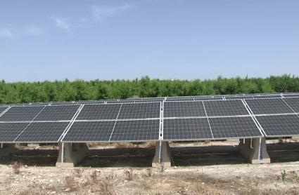 La Asociación de Agricultores y Ganaderos de Villanueva de la Serena denuncia un aumento de robos
