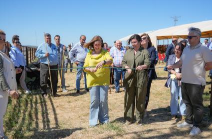 La consejera de Agricultura, Ganadería y Desarrollo Sostenible, Mercedes Morán, ha inaugurado este viernes la primera edición de la Feria de Ganado de Torremocha, evento al que ha calificado como "un testimonio del espíritu emprendedor y del profundo arraigo de esta tierra con la actividad ganadera".  Morán también ha destacado la "importancia fundamental" del sector ganadero para la economía, el mantenimiento del mundo rural y la vida de muchas familias extremeñas.  Por ello, ha felicitado al Ayuntamiento 
