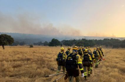 El INFOEX desactiva el nivel 1 en el incendio de Talarrubias