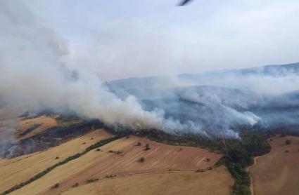 Declarado el nivel 1 de peligrosidad en un incendio forestal entre Don Benito y Manchita