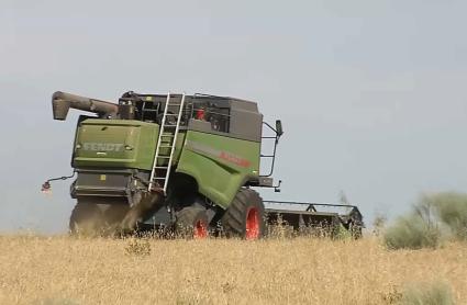 APAG Extremadura ASAJA estima una caída superior al 50 % en la campaña del cereal