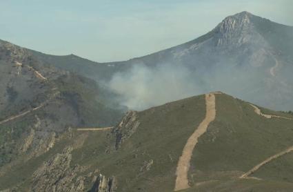 El fuego arrasa 24.133 hectáreas en España hasta el 13 de julio, un 5% menos que en 2024