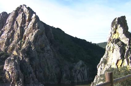 Tragsa realizará trabajos de conservación de especies protegidas y de control de invasoras en Monfragüe