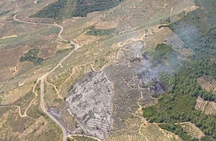 Estabilizado el incendio forestal en Mohedas de Granadilla