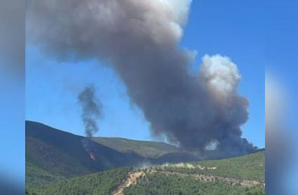 El Plan INFOEX interviene en un incendio forestal en Caminomorisco