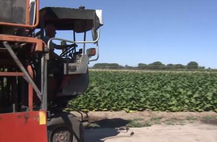 VÍDEO: Las organizaciones agrarias avisan de las consecuencias que tendrá la propuesta de PAC para el campo extremeño