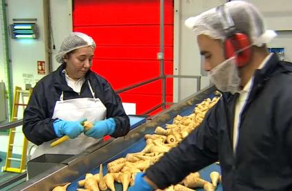 La Junta destaca que en los dos últimos años se han aprobado 155 planes de igualdad laboral, un 122% más