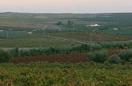 Regantex valora que el nuevo convenio de modernización de regadíos es "paso decidido" a una agricultura "más eficiente"