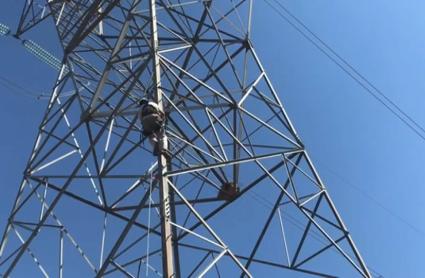 SEO/BirdLife pide colaboración para evaluar impacto en aves del tendido eléctrico en puntos de la Red Natura